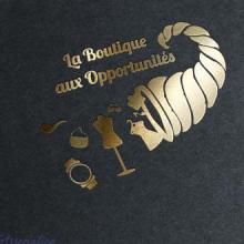 Logo - Boutique aux opportunités